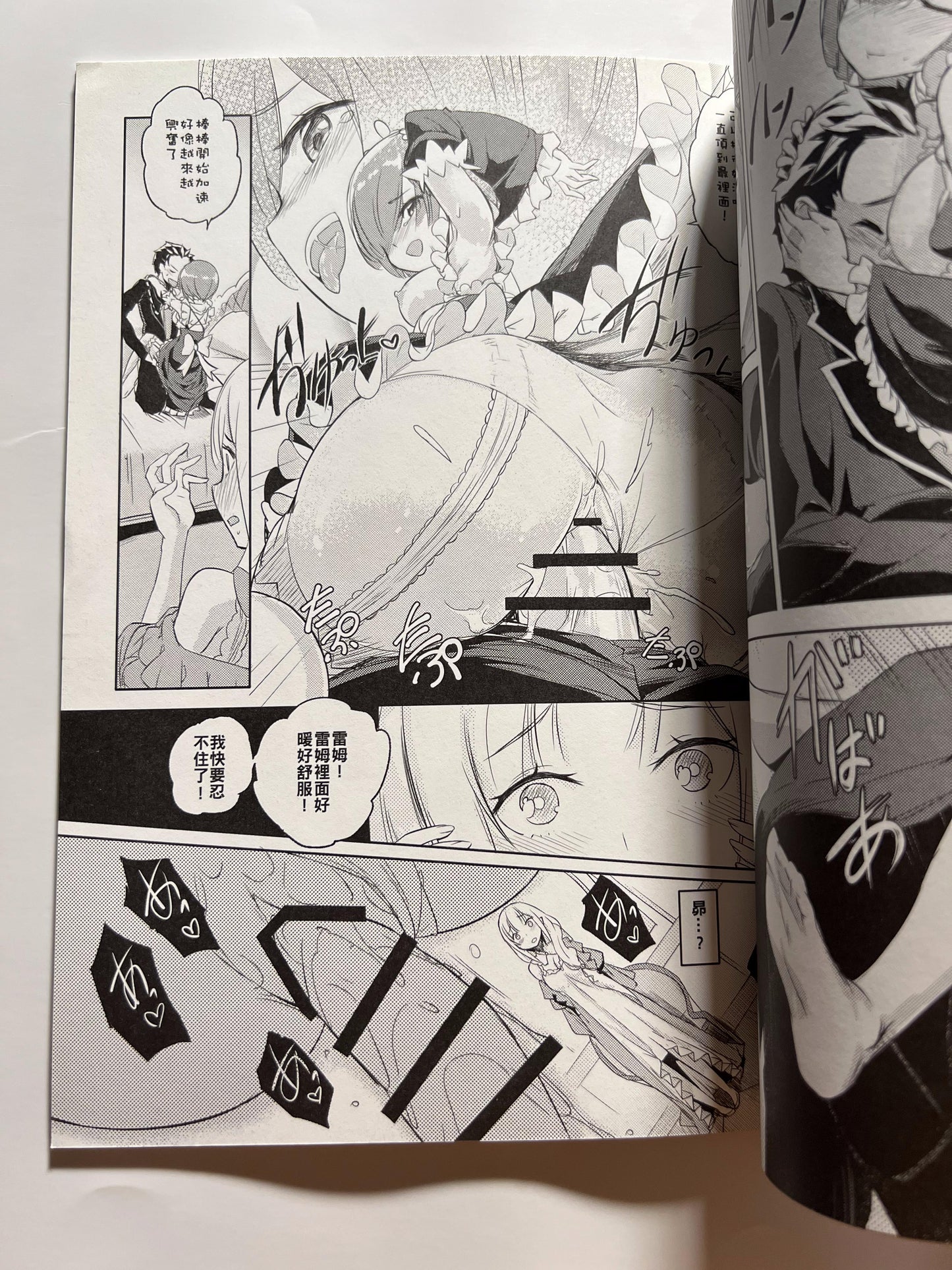 [AOKIHOSHI][Akaiguppy] RE:ZERO After Story