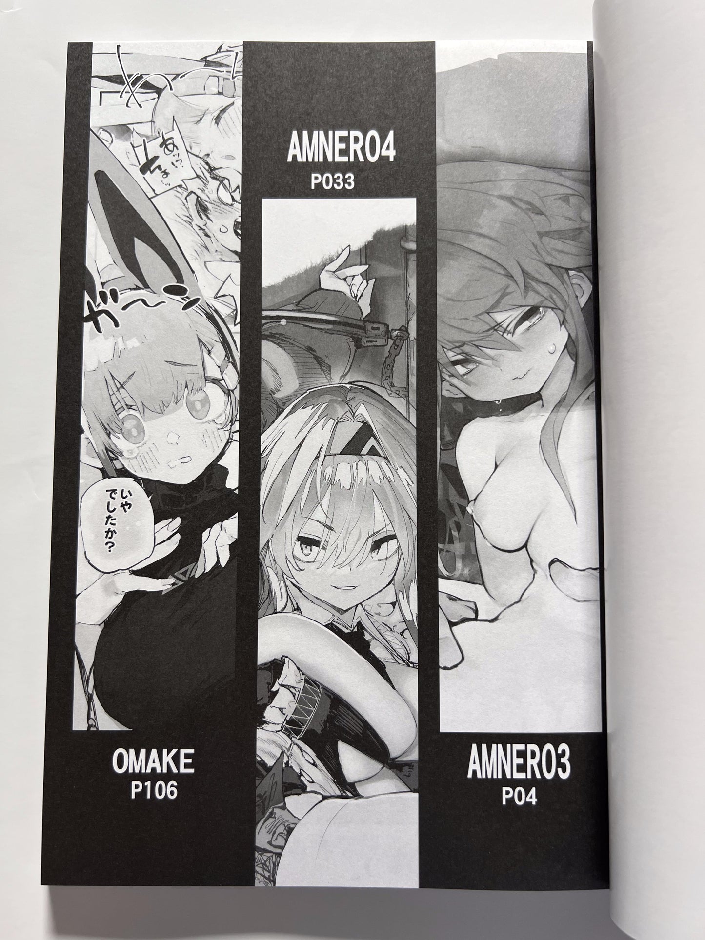 [Hyoco Road][Hyocorou] AMNERO omnibus 2