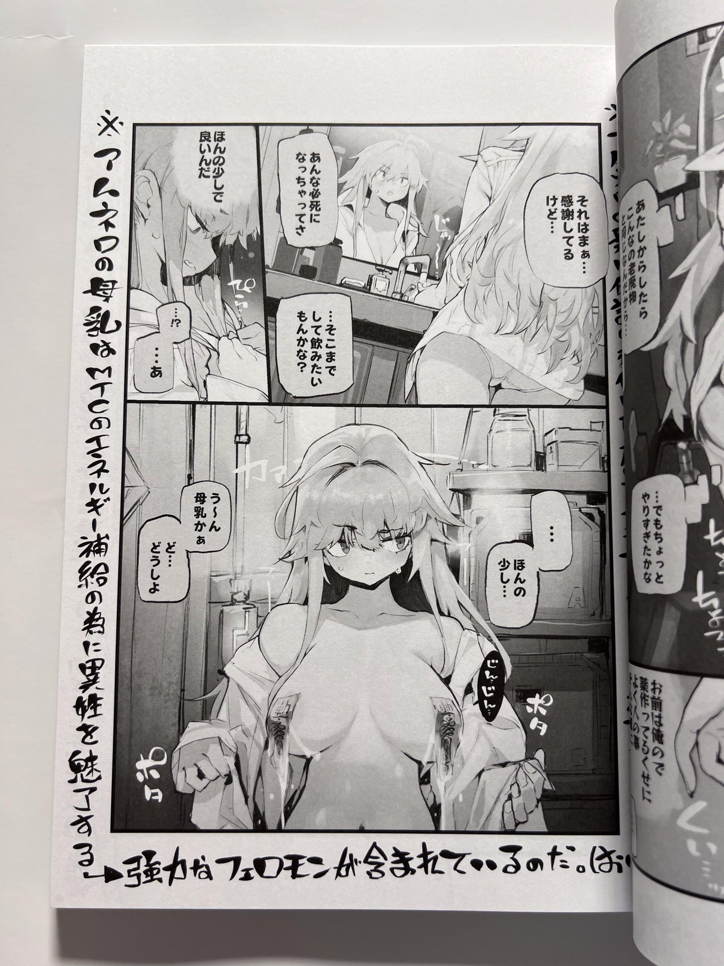[Hyoco Road][Hyocorou] AMNERO omnibus 2