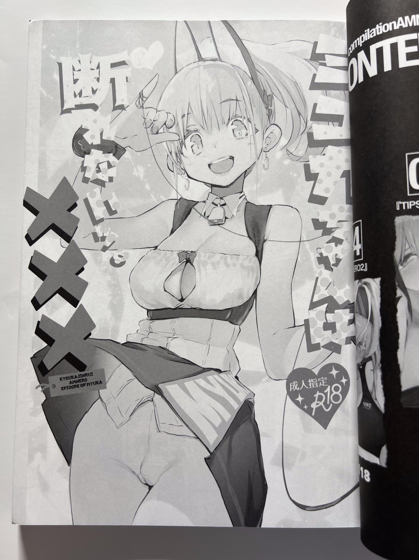 [Hyoco Road][Hyocorou] AMNERO omnibus