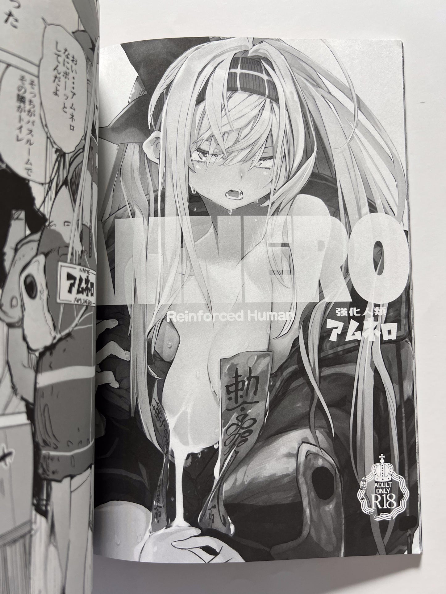 [Hyoco Road][Hyocorou] AMNERO omnibus