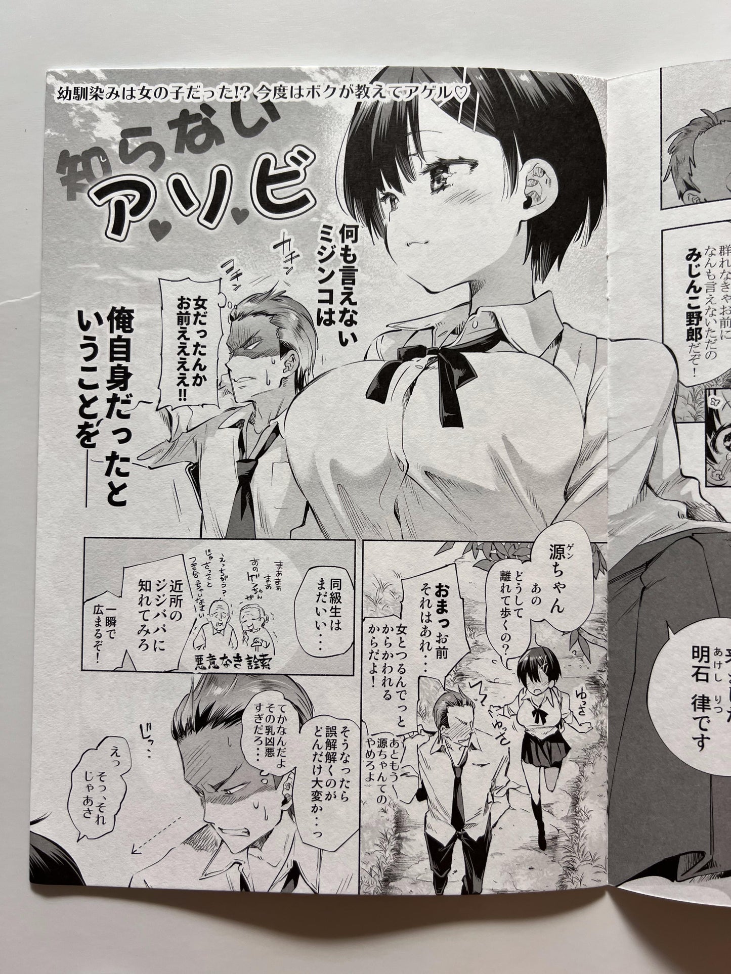 [Kamishiki][Kamizuki Shiki] Kamizuki Style 11: The First-Blooming Petal — Preview Booklet