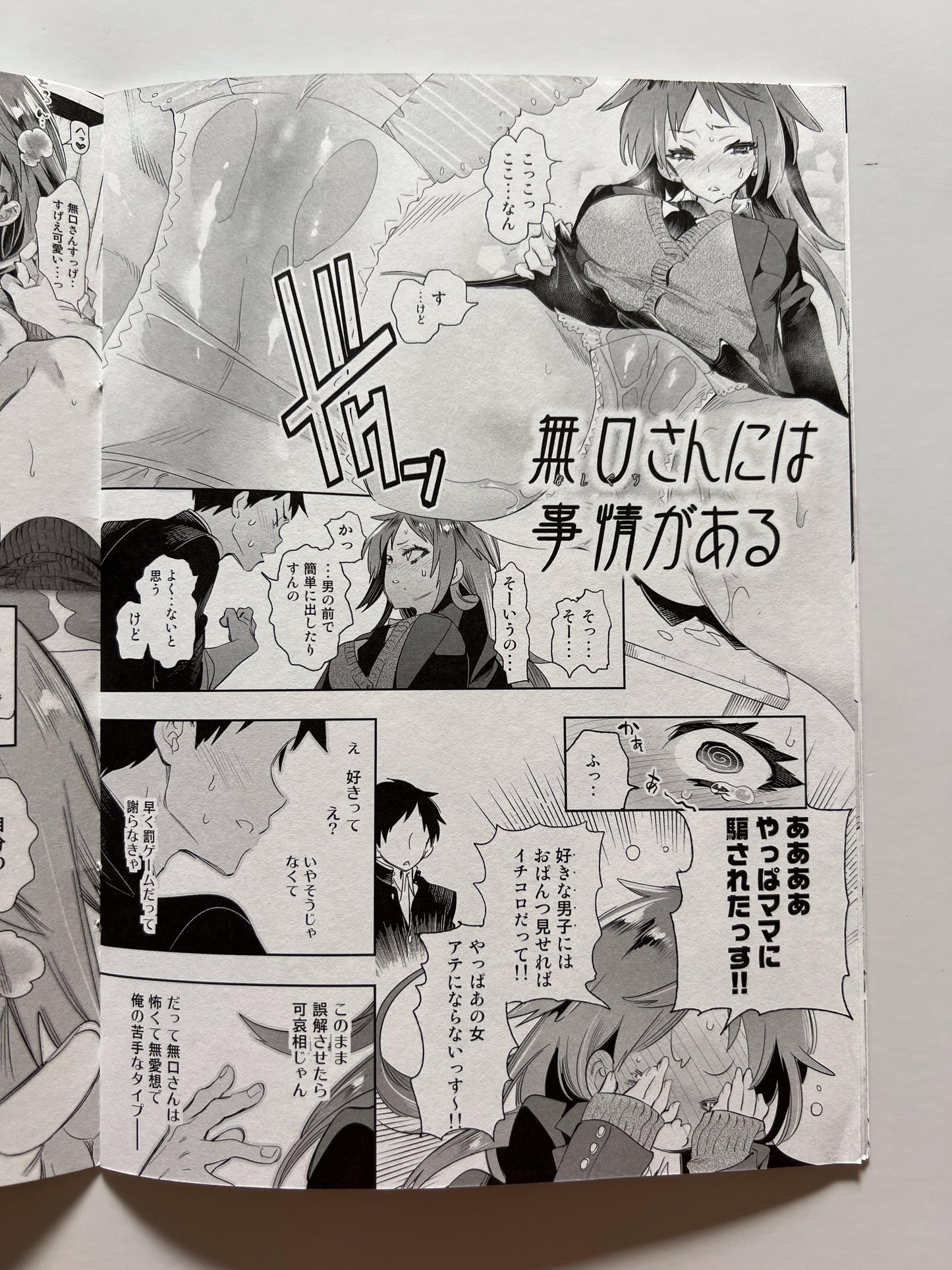 [Kamishiki][Kamizuki Shiki] Kamizuki Style 11: The First-Blooming Petal — Preview Booklet