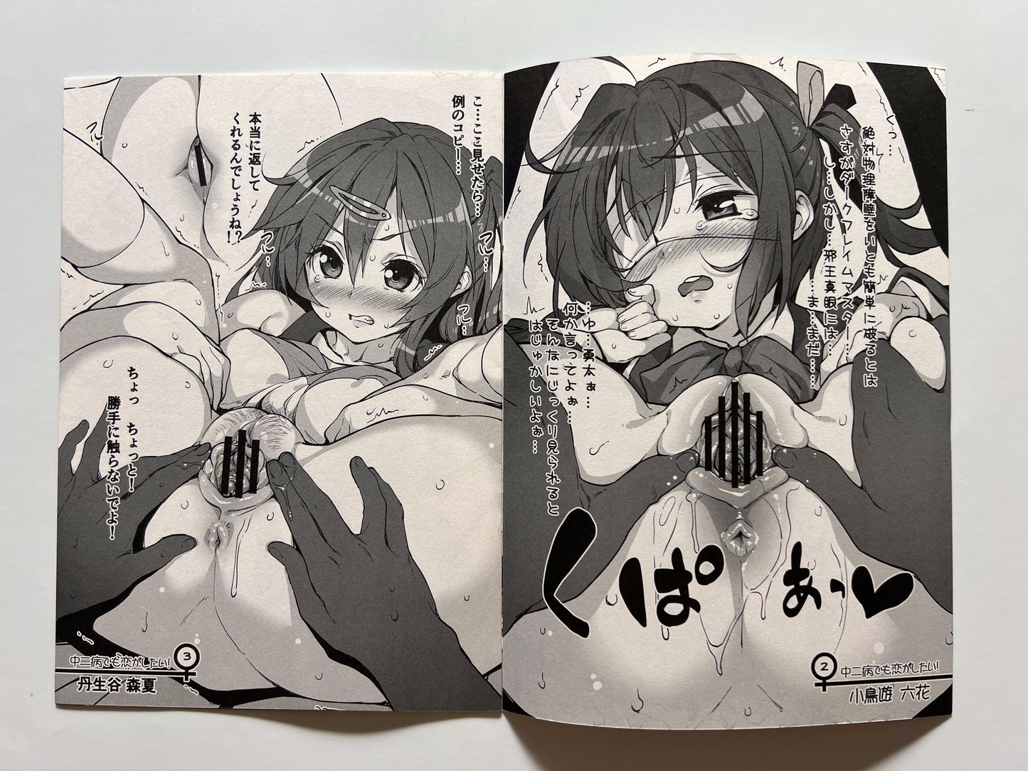 [Tortoiseshell][Kink] 98! ~2012 Winter: Bonus Book~
