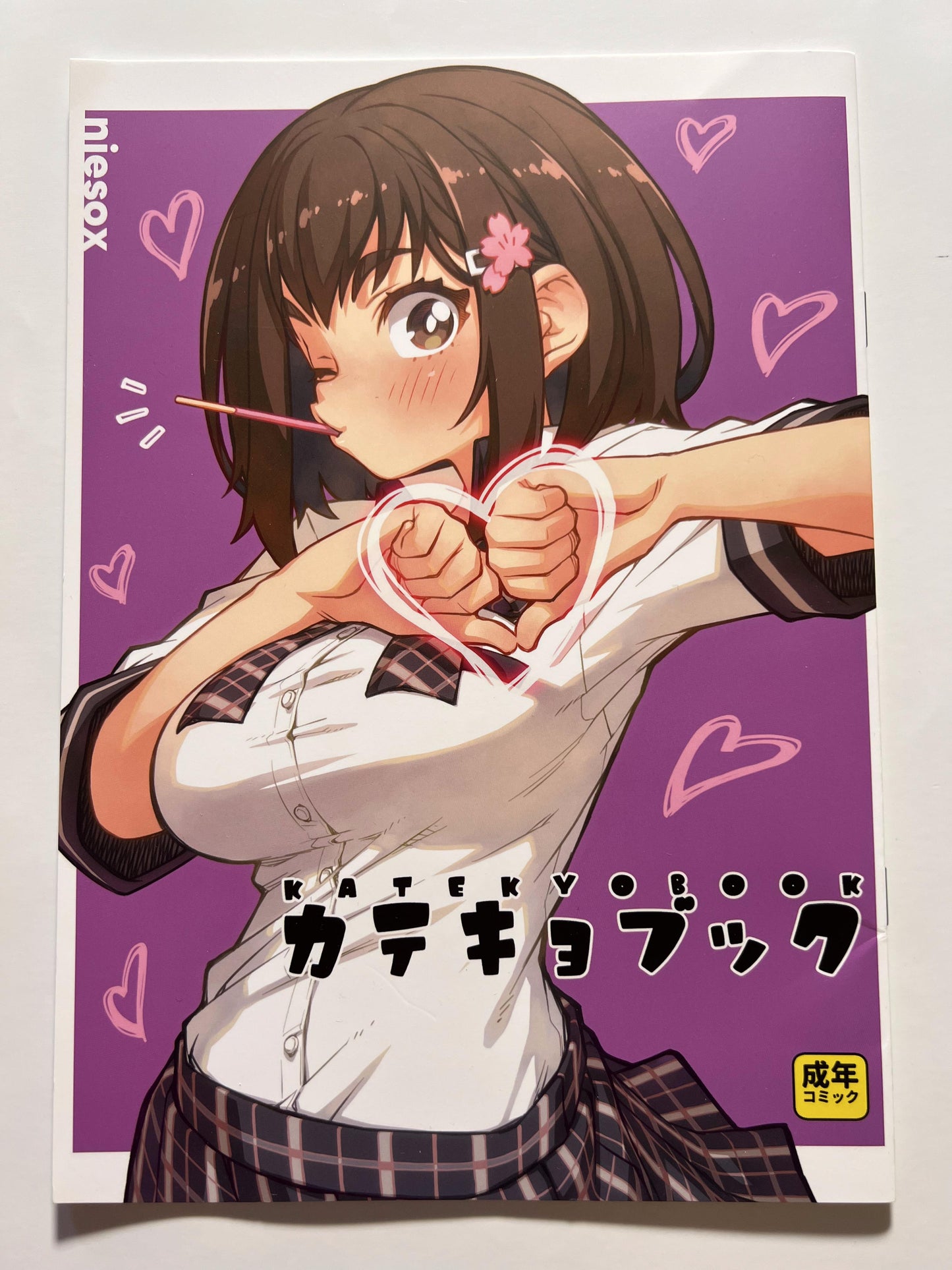 [niesox][Tamori Tadaji] Catechoic Book