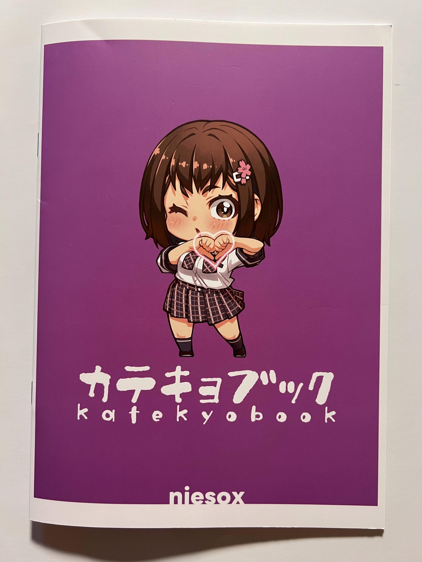 [niesox][Tamori Tadaji] Catechoic Book