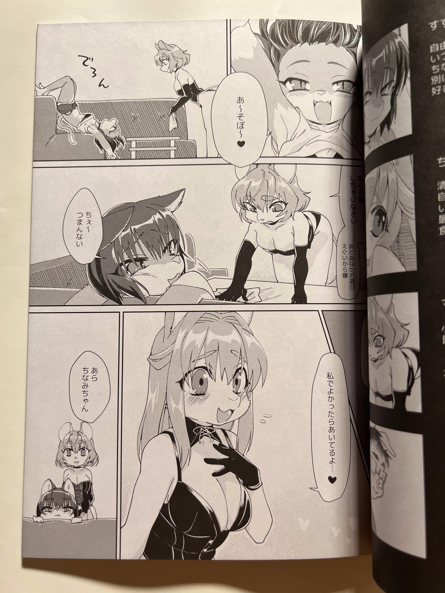 [Nenneko Tanuki][Tanutan] TOYBOX