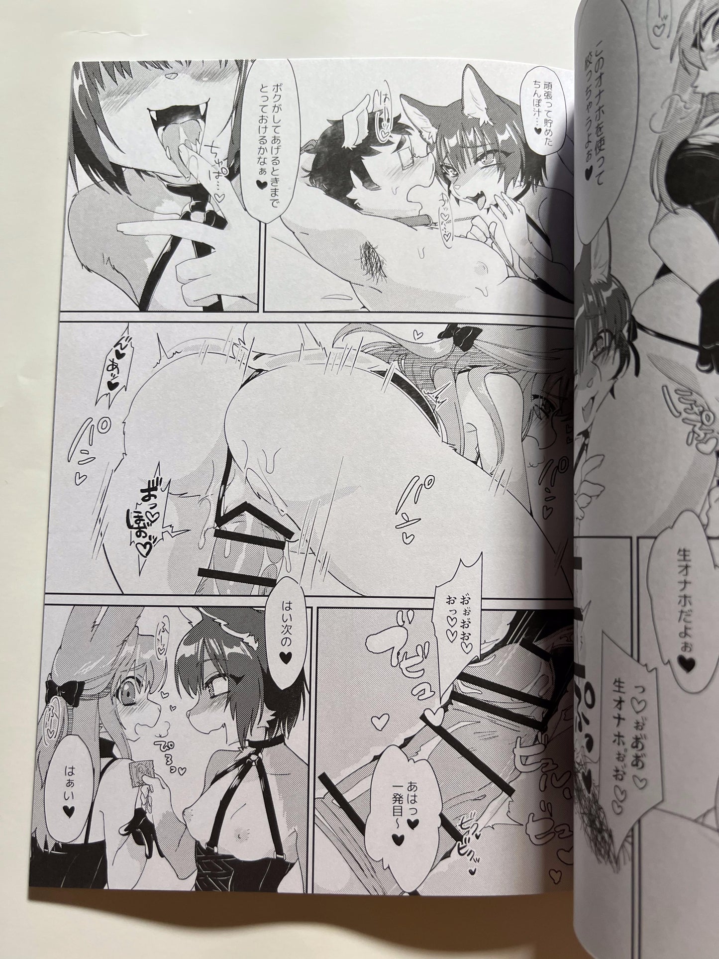 [Nenneko Tanuki][Tanutan] TOYBOX