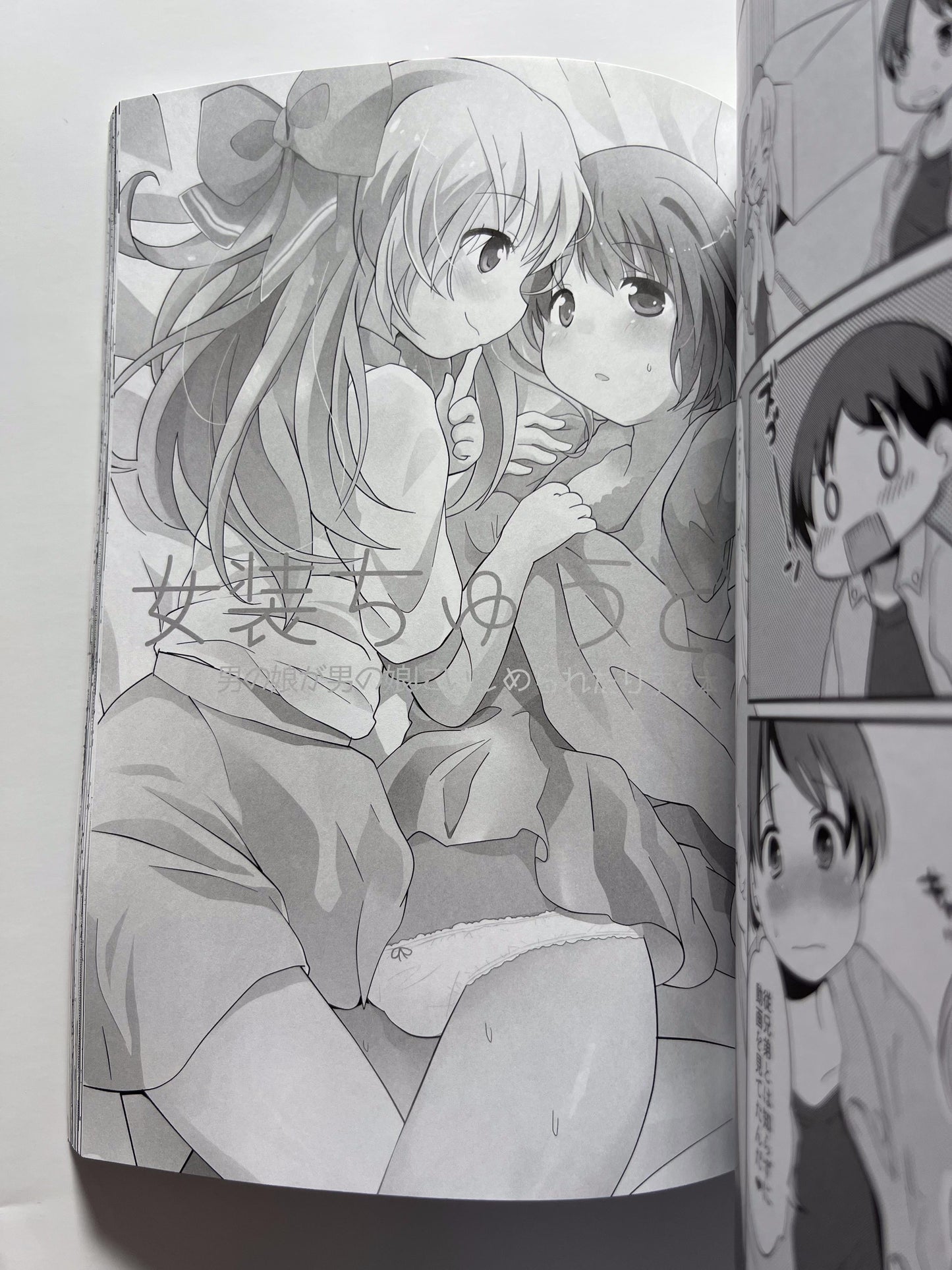 [Taiyou no Megumi][Yamadori] Accidentally a heroine