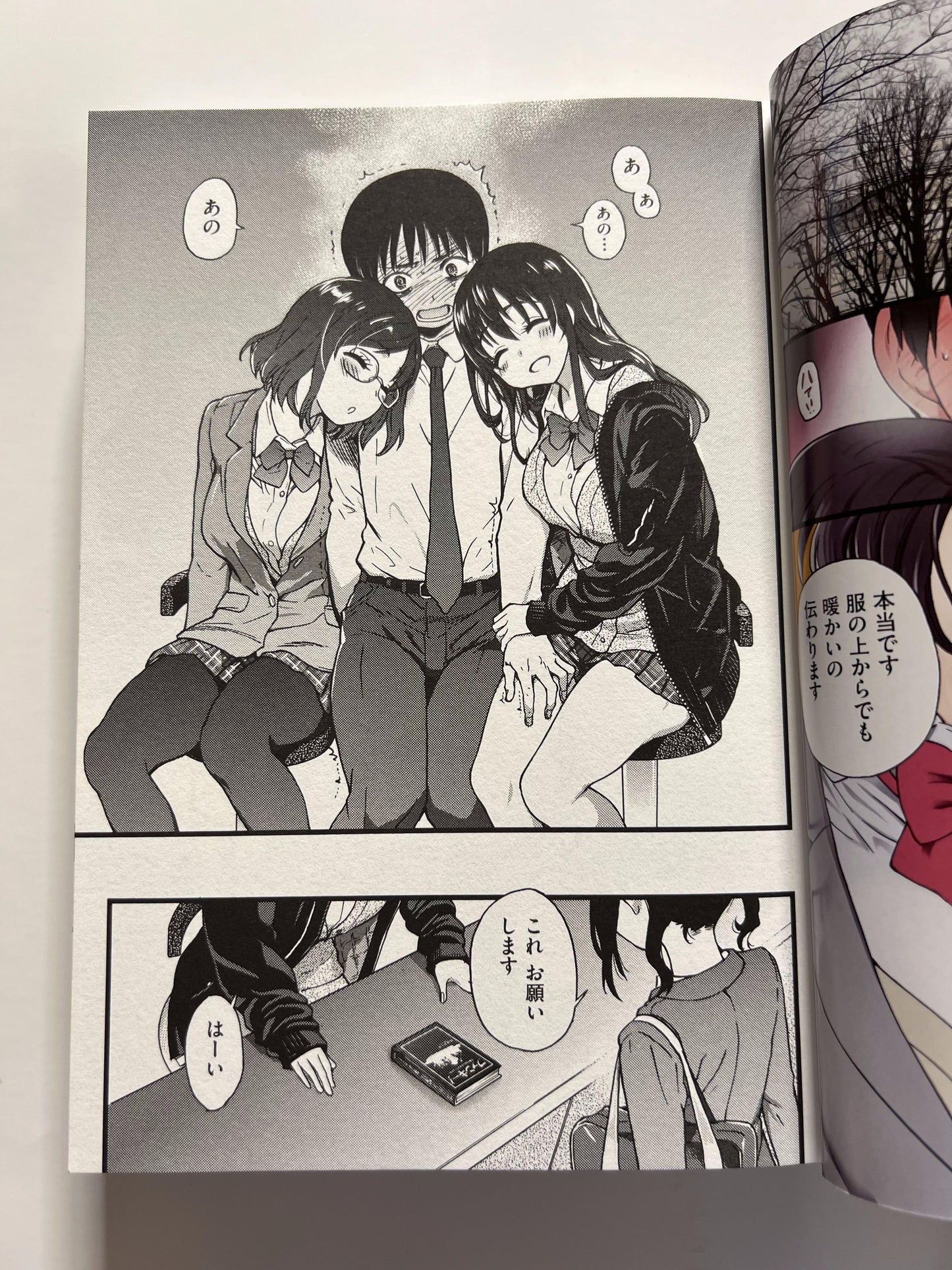 [Hit][Shiwasu No Okina] Please!Freeze!Please