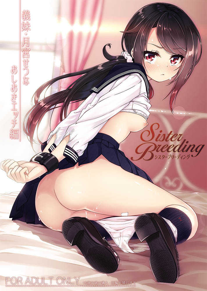 [Pleats Time][Nunnu] Sister Breeding Sister-in-law Setsuna Tsukimiya Punishment Sex Edition