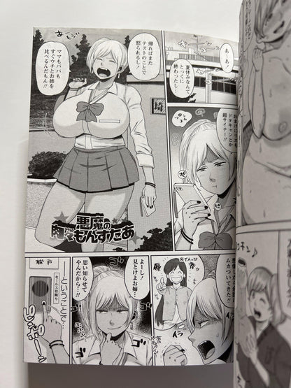 [Sanwa][Muronaga Char siu] Houman Mucchiri Pai