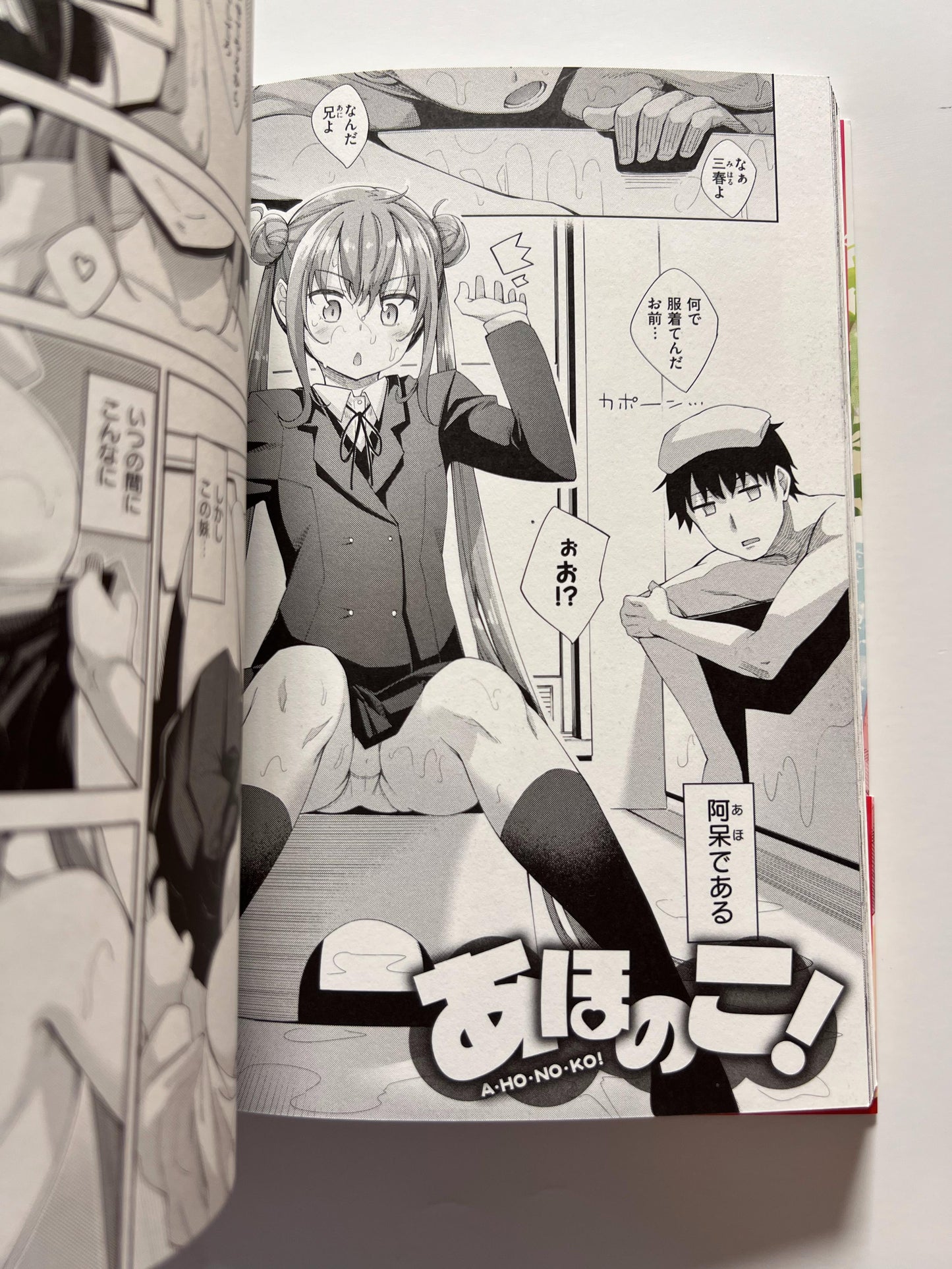 [Wani][Akinosora] Aizome