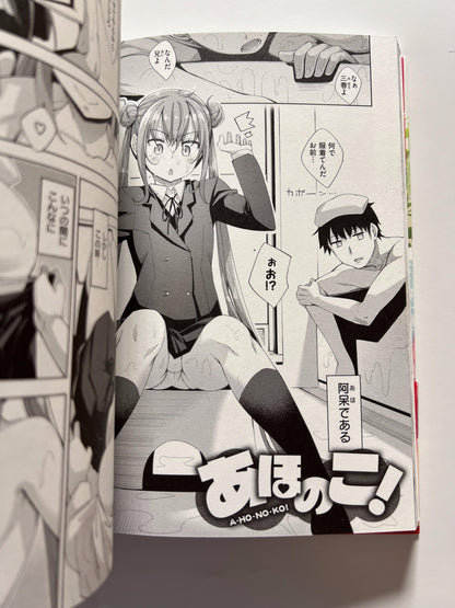 [Wani][Akinosora] Aizome